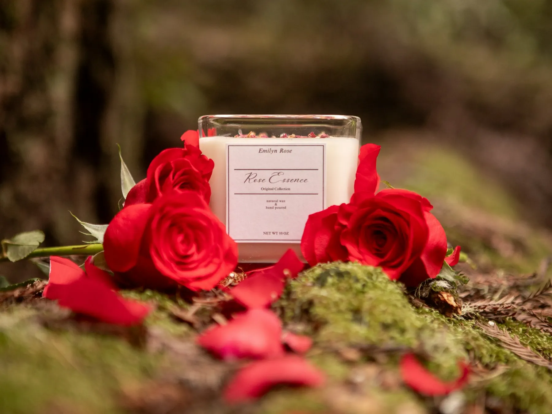Candle framed by red roses and petals